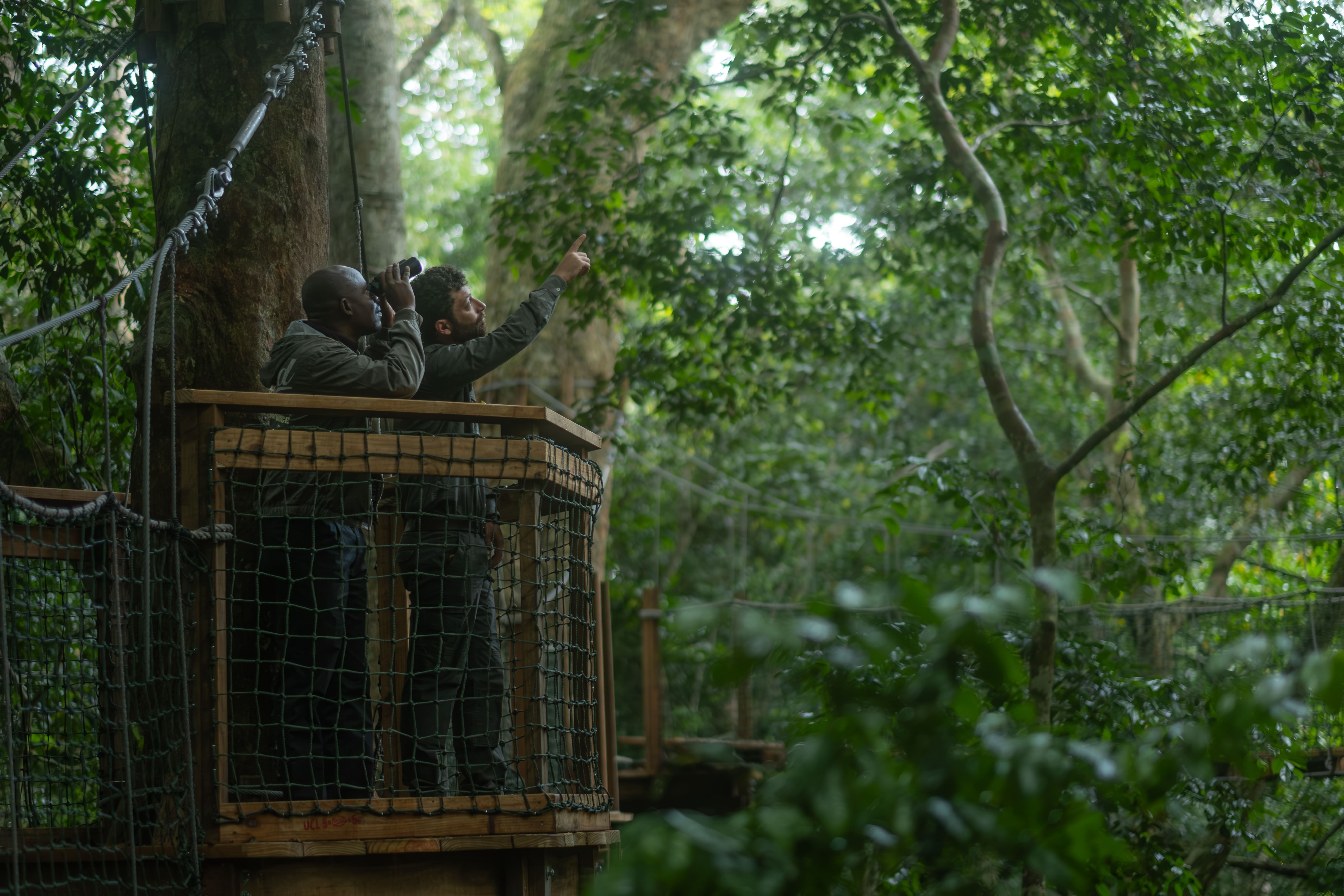 Photo from 10-Day Odzala Odyssey Gorilla Trekking & Congo Rainforest Safari safari tour